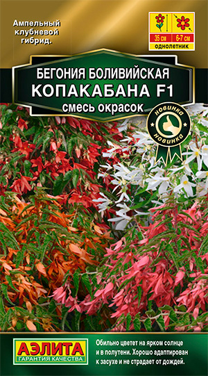 

Семена Аэлита Бегония боливийская Копакабана F1, Смесь, 5 шт.