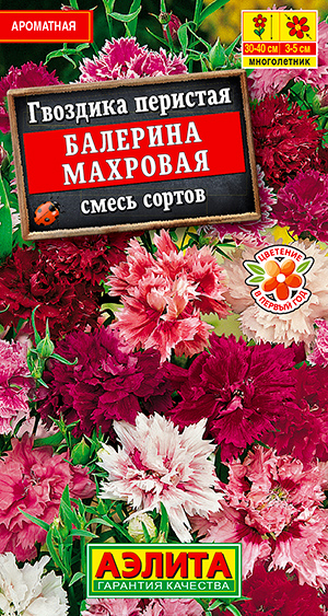 

Семена Аэлита Гвоздика махровая Балерина, Смесь, 0,1 г