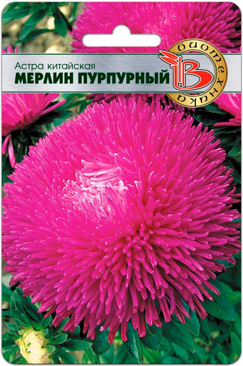 Семена Биотехника Астра китайская Мерлин Пурпурный, 50 шт.