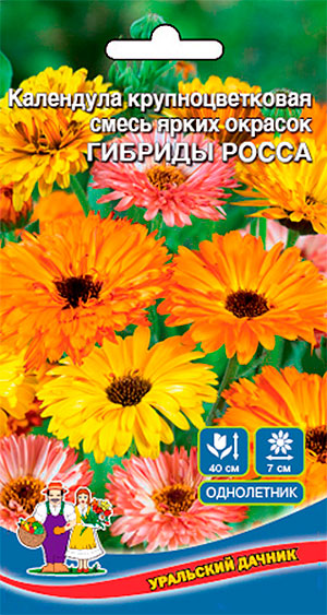 

Семена Уральский дачник Календула Гибриды Росса, Смесь, 0,3 г