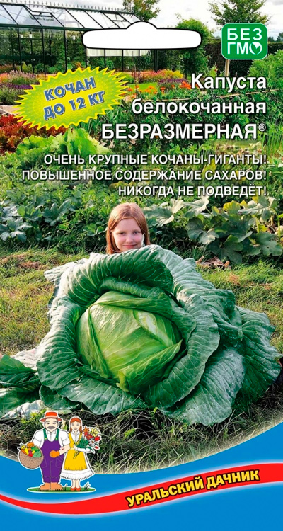Семена Уральский дачник Капуста белокочанная Безразмерная, 0,3 г