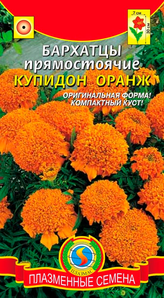 Семена Плазмас Бархатцы прямостоячие Купидон Оранж, 20 шт.