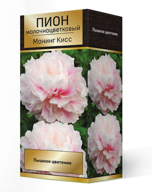 

Посадочный материал Поиск Агрофирма Пион молочноцветковый МОНИНГ КИСС, 1 шт.