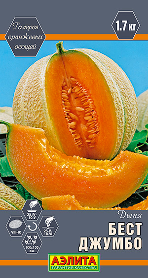 Семена Аэлита Дыня Бест Джумбо, 1 г Галерея оранжевых овощей