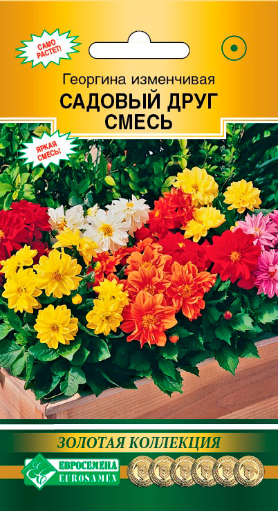 

Семена ЕВРОСЕМЕНА Георгина изменчивая Садовый друг, Смесь, 10 шт. Золотая Коллекция