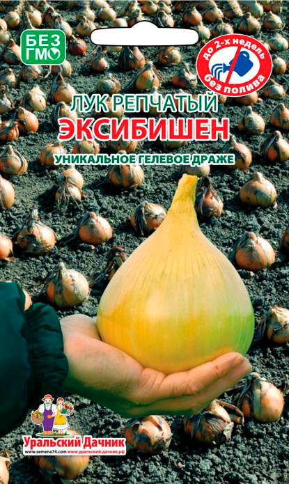 Семена Уральский дачник Лук репчатый Эксибишен, 40 гелевых драже