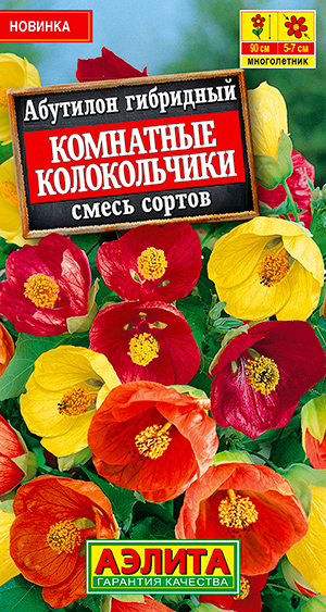 

Семена Аэлита Абутилон Комнатные колокольчики, Смесь, 15 шт.