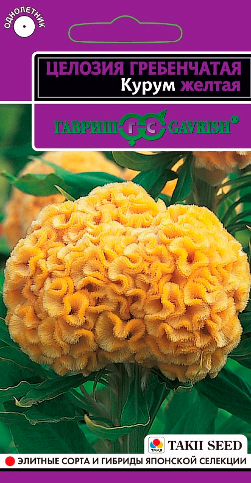 

Семена Гавриш Целозия гребенчатая Курум Желтая, 10 шт. Takii