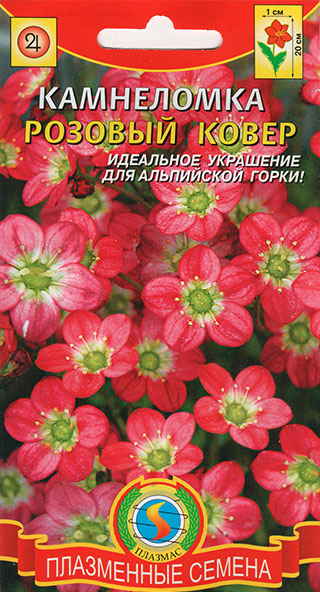 Семена Плазмас Камнеломка Розовый ковер, 0,01 г