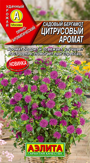 

Семена Аэлита Садовый бергамот Цитрусовый аромат, 0,02 г