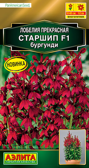 

Семена Аэлита Лобелия Старшип Бургунди F1, 5 шт. PanAmerican Seed Золотая серия