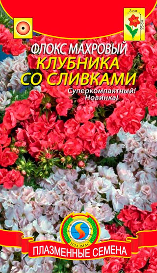 Семена Плазмас Флокс махровый Клубника со сливками, Смесь, 6 шт.