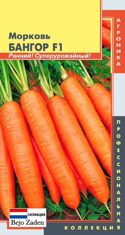 Семена Плазмас Морковь Бангор F1, 120 шт. Bejo Zaden Профессиональная коллекция