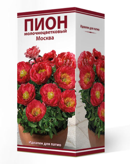 

Посадочный материал Поиск Агрофирма Пион травянистый для патио МОСКВА, 1 шт.