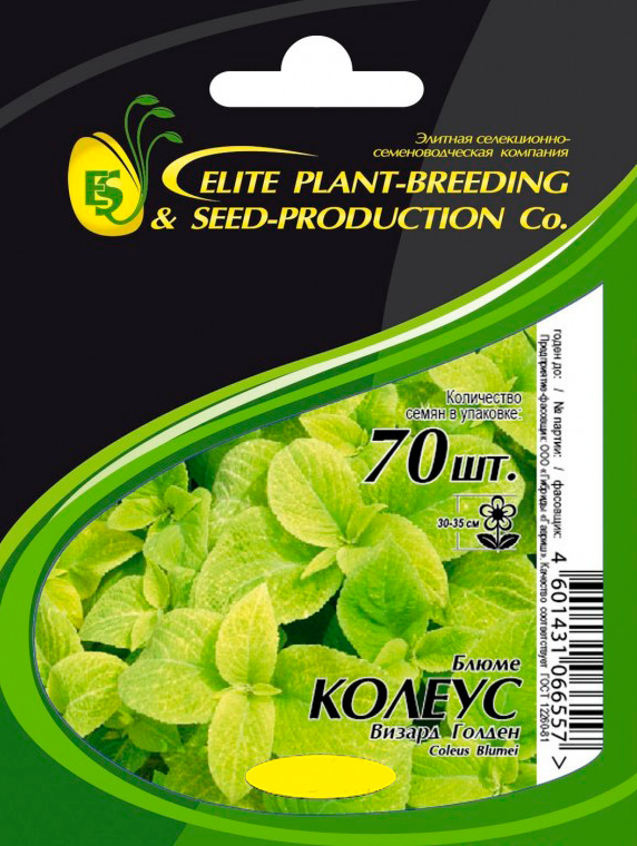 Семена Elite Seeds Колеус Блюме Визард Голден Элит мини, 70 шт. Профессиональная упаковка