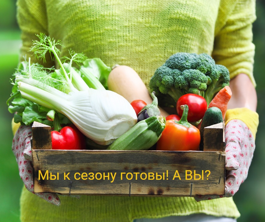 Мы к сезону готовы! А ВЫ? Мы к сезону готовы! А ВЫ?