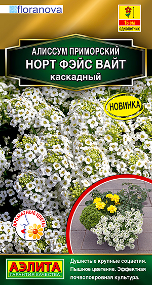 

Семена Аэлита Алиссум каскадный Норт Фэйс Вайт, 12 шт. Floranova Золотая серия