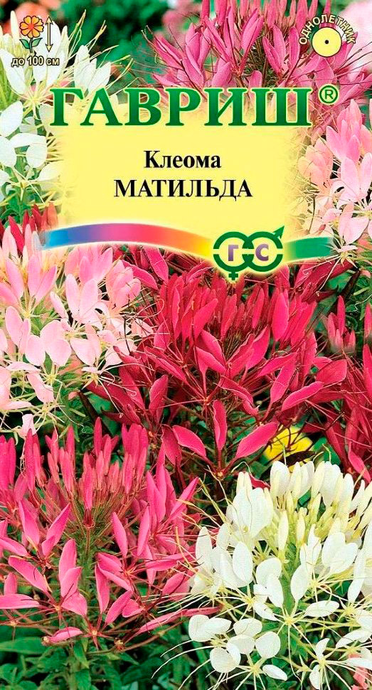 

Семена Гавриш Клеома колючая Матильда, Смесь, 0,3 г