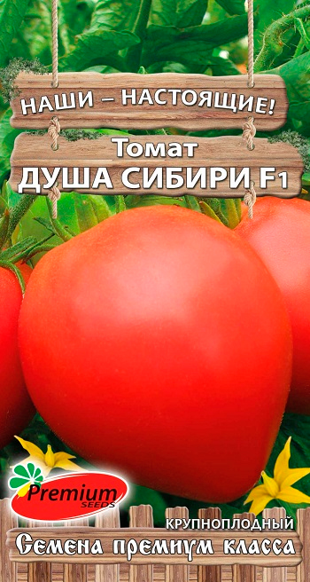 

Семена Premium seeds Томат Душа Сибири F1, 0,05 г Наши-Настоящие!