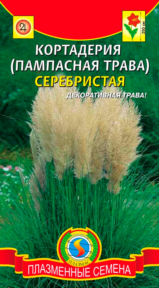 

Семена Плазмас Кортадерия (Пампасная трава) Серебристая, 0,01 г