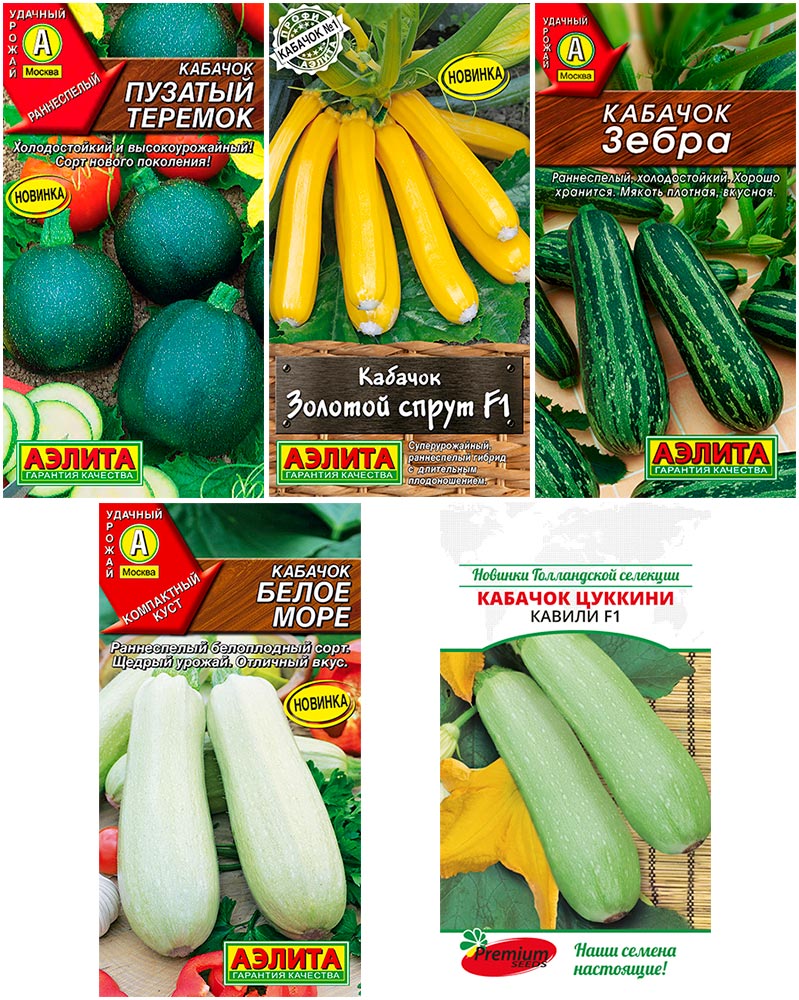

Семена SEEDSPOST Набор семян кабачков Микс, 5 уп.