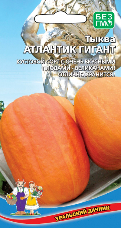 

Семена Уральский дачник Тыква Атлантик Гигант, 5 шт.