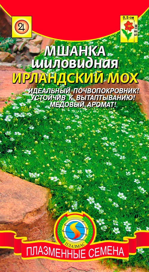 

Семена Плазмас Мшанка шиловидная Ирландский мох, 0,01 г