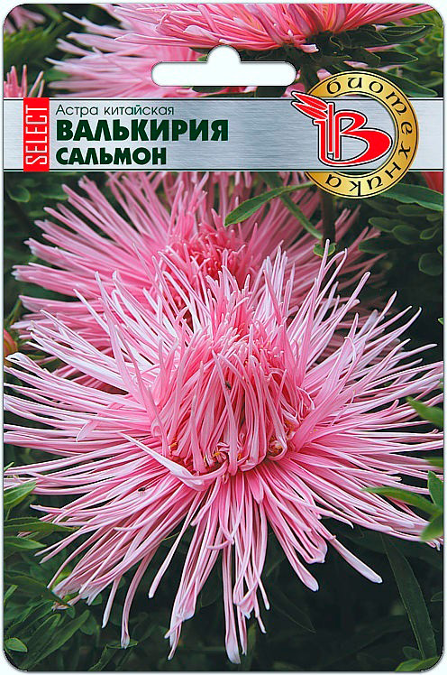 

Семена Биотехника Астра китайская Валькирия SELECT Сальмон, 30 шт.