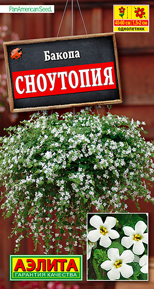 

Семена Аэлита Бакопа Сноутопия, 3 шт. PanAmerican Seed