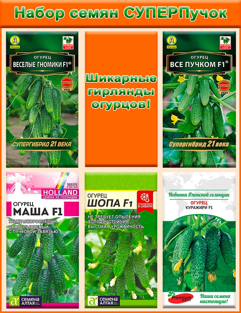 

Семена SEEDSPOST Набор семян Огурцы СУПЕРпучок, 5 уп.