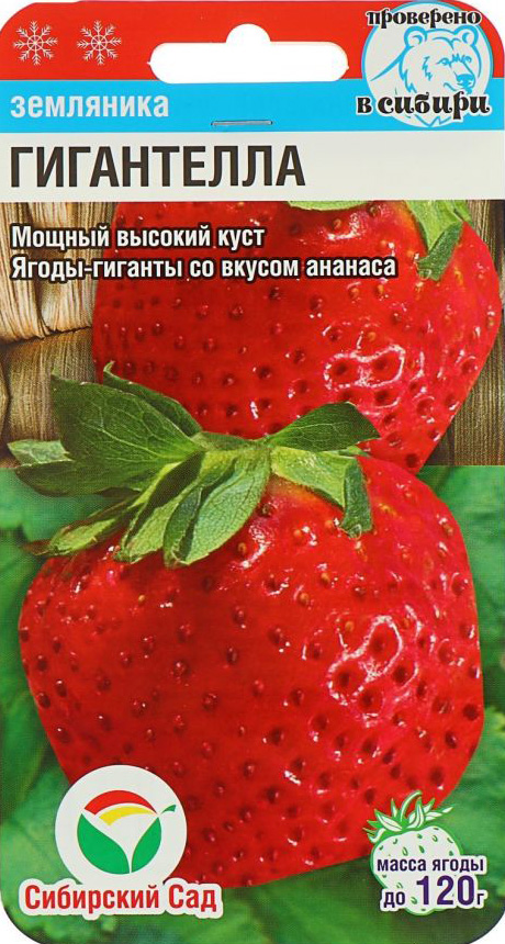 

Семена Сибирский сад Земляника крупноплодная Гигантелла, 10 шт.