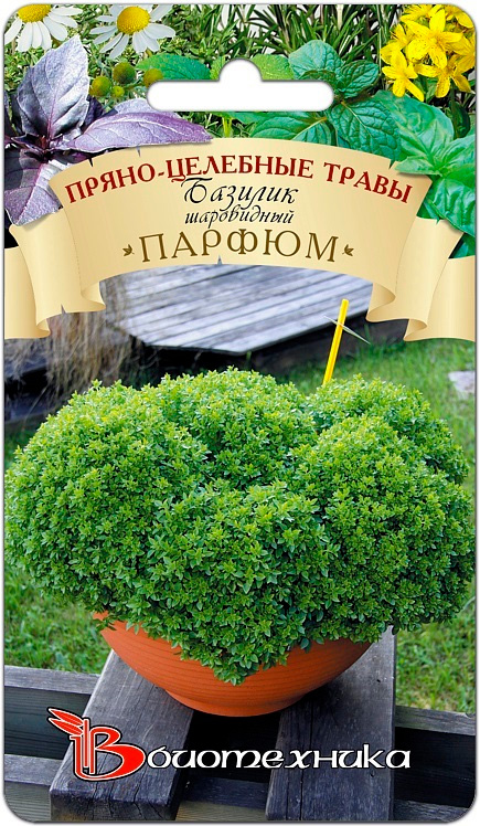 

Семена Биотехника Базилик шаровидный Парфюм, 0,1 г
