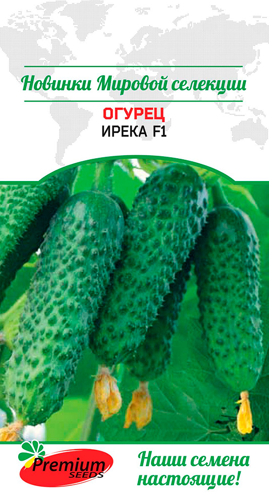 Семена Premium seeds Огурец Ирека F1, 5 шт. Rijder