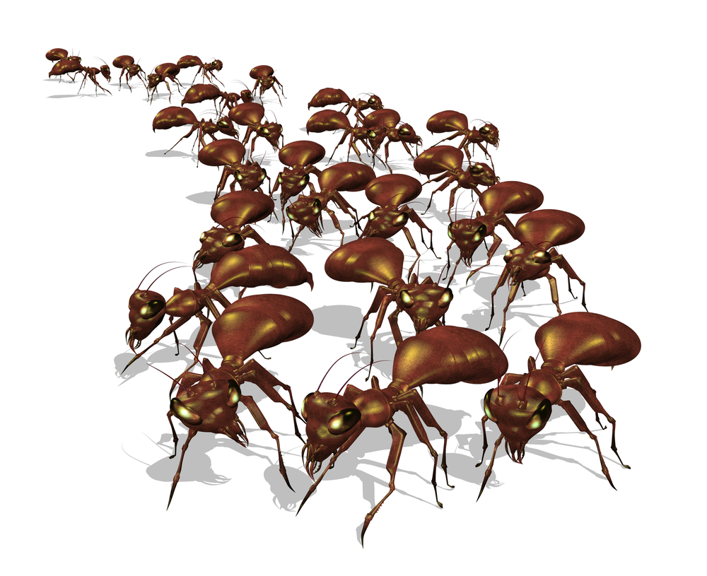 Время природы и … насекомых! Узнайте, как избавится от мух, муравьев и что делать с клещами!