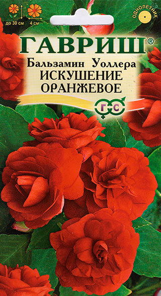 

Семена Гавриш Бальзамин Уоллера Искушение Оранжевое, 5 шт.