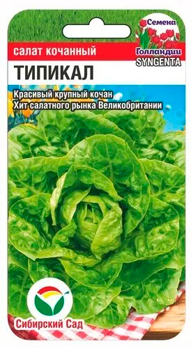 

Семена Сибирский сад Салат Типикал, 10 шт.