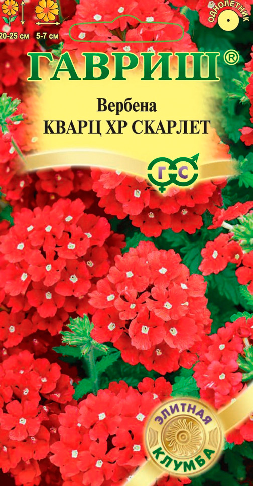 

Семена Гавриш Вербена гибридная Кварц ХР Скарлет, 5 шт. Элитная клумба