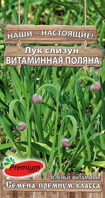 Семена Premium seeds Лук слизун Витаминная поляна, 0,3 г Наши-Настоящие!