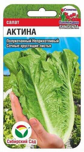 

Семена Сибирский сад Салат Актина, 10 шт. Семена Голландии