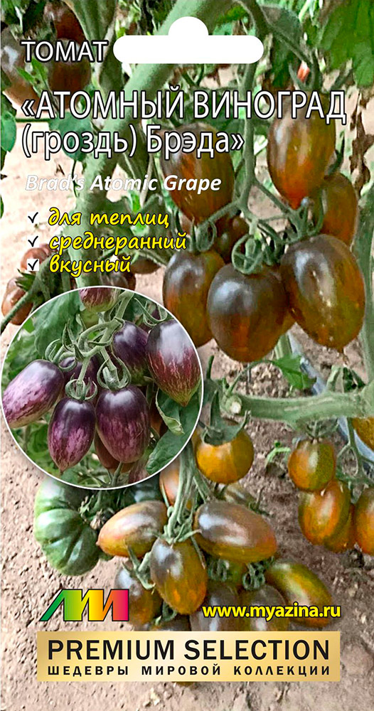 

Семена Мязина Любовь Селекционер Томат Атомный виноград Брэда (Brad’s Atomic Grape), 5 шт. Premium Selection
