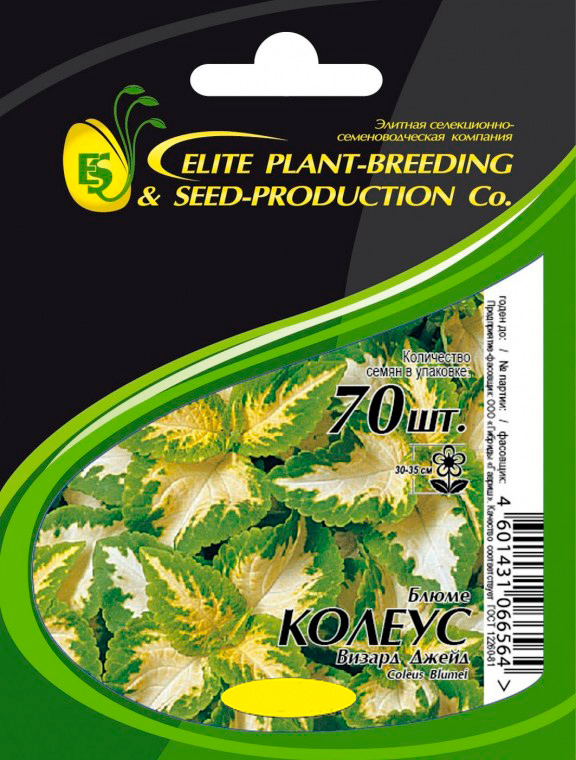 

Семена Elite Seeds Колеус Блюме Визард Джейд Элит мини, 70 шт. Профессиональная упаковка