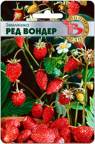 

Семена Биотехника Земляника Ред Вондер, 60 шт.