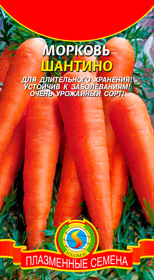 Семена Плазмас Морковь Шантино, 1,5 г