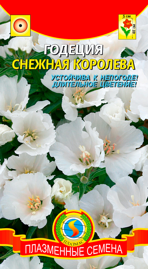 

Семена Плазмас Годеция Снежная королева, 0,1 г