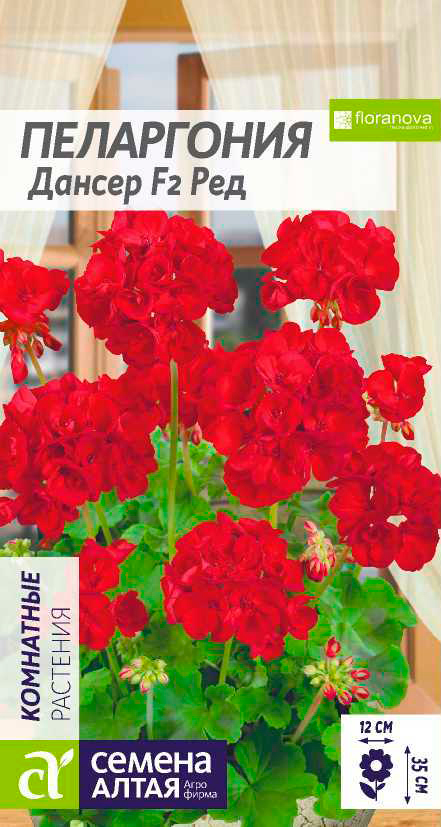 

Семена Семена Алтая Пеларгония Дансер Ред F2, 4 шт. Floranova