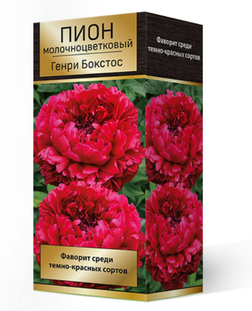 

Посадочный материал Поиск Агрофирма Пион молочноцветковый ГЕНРИ БОКСТОС, 1 шт.