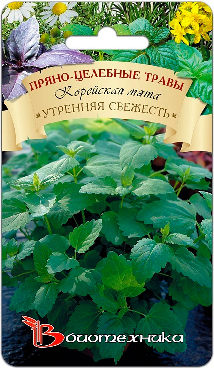 

Семена Биотехника Мята корейская Утренняя свежесть, 0,1 г