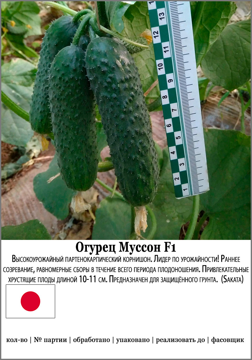 

Семена SEEDSPOST Огурец Муссон F1, 5 шт. Мировые хиты Sakata Элитные семена