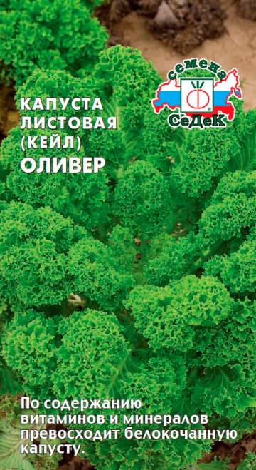 

Семена СеДеК Капуста листовая Оливер, 0,3 г