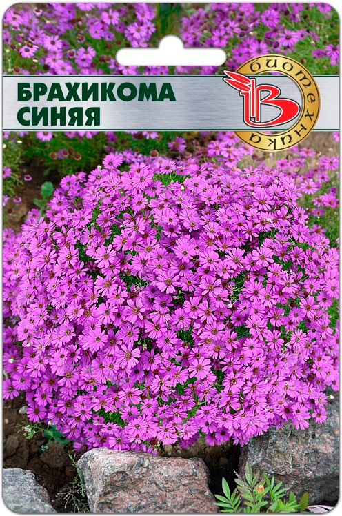 

Семена Биотехника Брахикома Синяя, 200 шт.